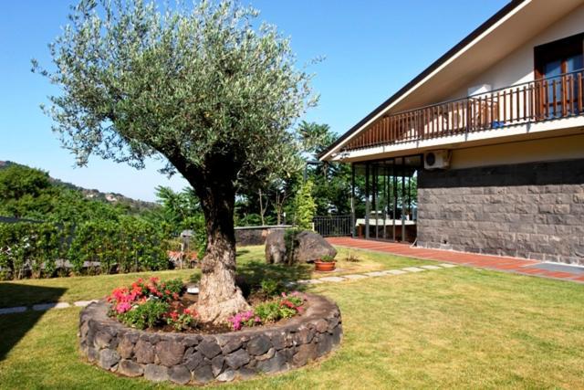 Etna Hut Acomodação com café da manhã Nicolosi Exterior foto